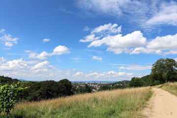 Blick vom Schönberg Richtung Freiburg