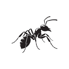 ant isolated