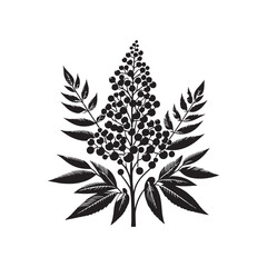 Flower silhouette vector style.