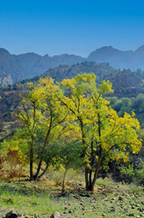 Uzbekistan mountain landscape. Foothills of the Pamirs.