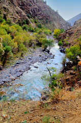 Majestic Flows: Exploring the Untouched Rivers of the Highlands.