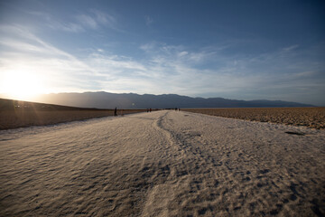 landscape in the desert