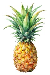 Fototapeta premium Isolated pineapple. Fresh whole pineapple fruit with leaf isolated on white background with clipping path