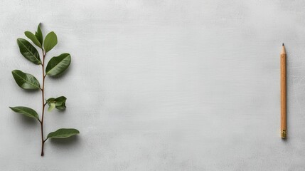 Exploring the potential and creativity of beginning with a blank slate in business, the Blank state strategy demonstrates innovative approaches for success.