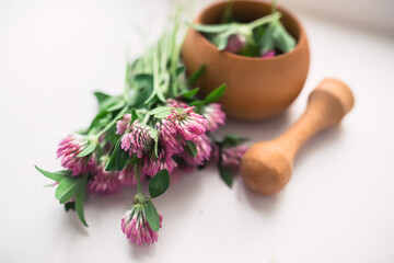 Fresh Red Clover Flowers and Mortar and Pestle on White Surface