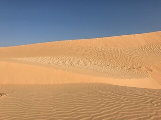 sand dunes in the desert