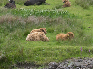 Isla de Iona, en Escocia, Reino Unido, Europa