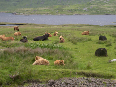 Isla de Iona, en Escocia, Reino Unido, Europa