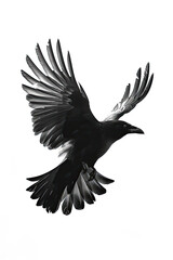 Obraz premium A black and white sketch of a bird in flight