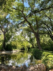 river in the forest beautiful