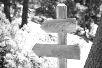 sign post made of wood with two arrows in the forest in black and white