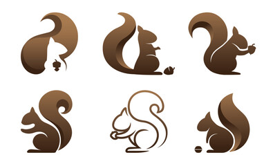 Creative squirrel logo vector collection design icon symbol illustration 