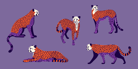 Gepard. Kolekcja dzikich kotów. Ilustracja wektorowa. © Monika