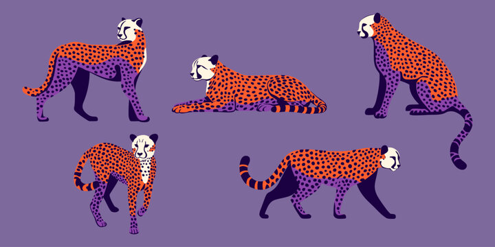 Gepard. Kolekcja dzikich kot&oacute;w. Ilustracja wektorowa.