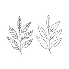 Black leaf icons set. Abstract  leaves icon on a background. Collection of black leaf icon. botanical elements design for natural, eco, vegan, bio labels. 