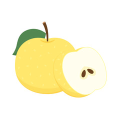 Asian pear whole fruit and half isolated on white background. Vector illustration of tropical exotic fruits in flat style.