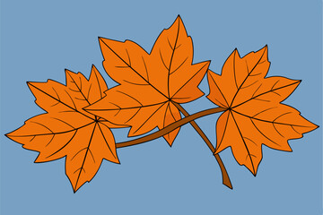 Maple Leaf Vector Illustration | Cartoon, Clipart, Line Art Design. Maple leaf vector illustration: cartoon, clipart, and line art design for digital prints