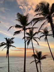 Fototapeta premium sunset on the beach