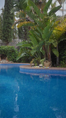 Tropical poolside setting with palm trees, a straw hat, tote bag, and sandals arranged neatly by blue water
