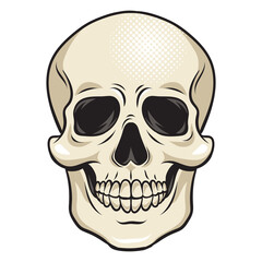 human skull pop art retro PNG illustration. Comic book style imitation.