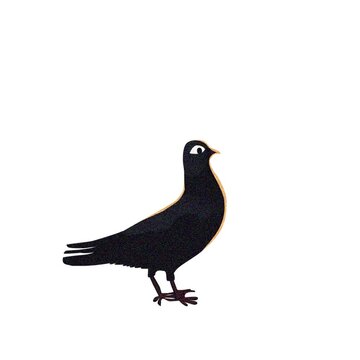 cartoon pigeon dancing and jumping 2d traditional animating 