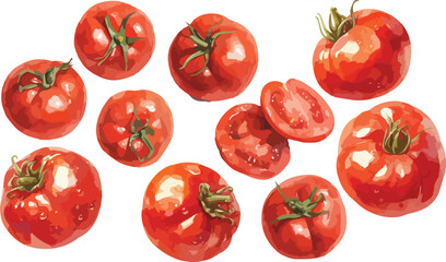 tomato watercolor clipart
