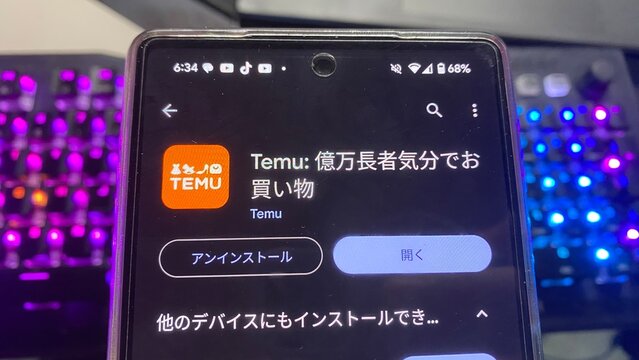 TEMU驚安の殿堂：中国直輸入で作る贅沢ライフスタイル - 節約上手の超絶買い物術