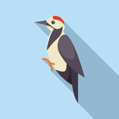 Woodpecker is perching on a tree trunk, its distinctive black, white, and red plumage on display