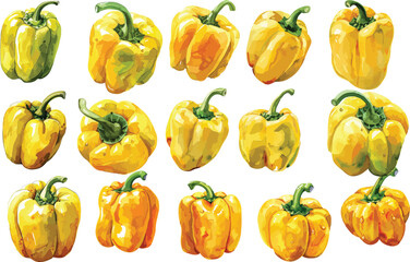 bell pepper watercolor clipart
