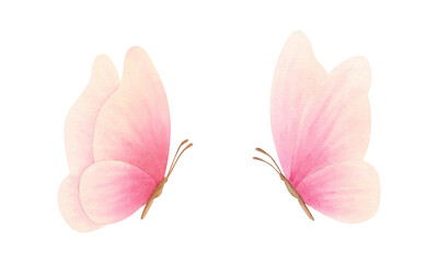 Set of pink, coral, peach fuzz, orange, delicate colors butterfly on isolated background. Hand drawn watercolor illustration. Clipart for design, cards, invitations, congratulations, packaging, print