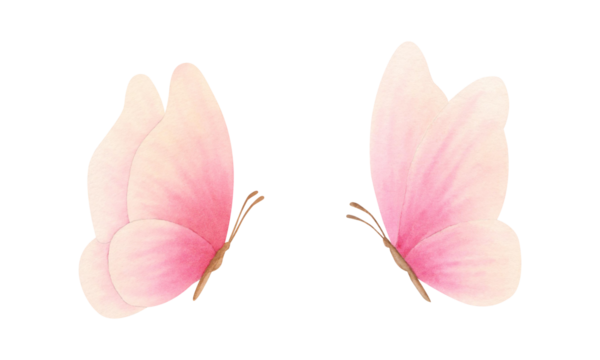 Set of pink, coral, peach fuzz, orange, delicate colors butterfly on isolated background. Hand drawn watercolor illustration. Clipart for design, cards, invitations, congratulations, packaging, print