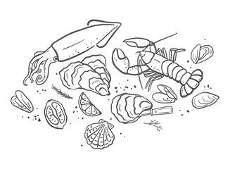 Vector hand drawn sea food Illustration. Oysters, lobster, squid and mussels