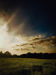 sunset in the field