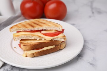 Pieces of toasted bread with melted cheese and tomato on light marble table, closeup