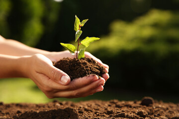 Woman holding seedling with soil outdoors, closeup. Space for text