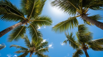 Fototapeta premium Tropical beach paradise palm trees and blue sky overhead, ideal summer destination for travelers