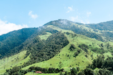 Obraz premium Beautiful scenery of the Cocora Valley in Colombia. Trips and beautiful towns. Palm trees.