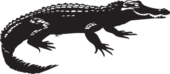 crocodile in a black