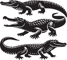crocodile in a black