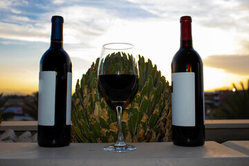VINO TINTO Y PAISAJES
