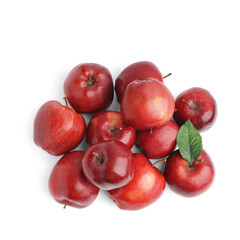 Many fresh red apples on white background