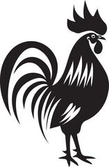 rooster isolated on white background