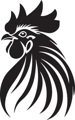 rooster isolated on white background