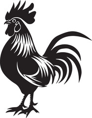 rooster isolated on white background