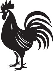 rooster isolated on white background