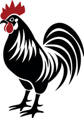 rooster isolated on white background