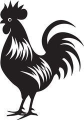 rooster isolated on white background