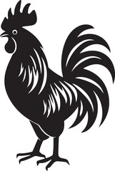 rooster isolated on white background