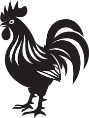 rooster isolated on white background