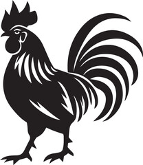 rooster isolated on white background